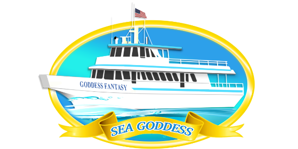 Sea Goddess Whale Watching